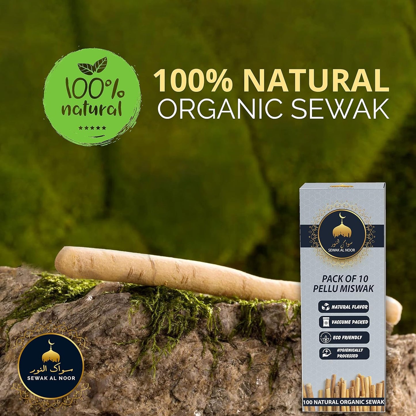 Pack of 10 Miswak Sticks for Teeth with Holder - Vacuum Sealed Natural Flavored Chew Sticks for Humans - Natural Toothbrush for Teeth Whitening, Oral Health & Fresh Breath || Pack of 10